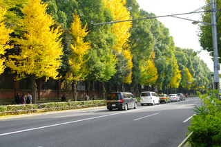 IMGP8669.jpg
