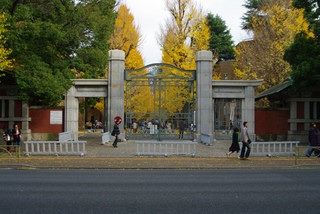 IMGP8670.jpg